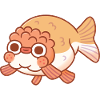 Mignon Derpy Ranchu Goldfish Doodle
