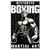 Anime, Boxer