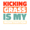 Lawn mower mowing