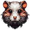 Hamster Animal