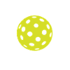 Carpe Dinkum Pickleball Fans