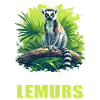 Lemuren Lemurs Lemur