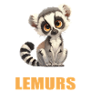 Lemuren Lemurs Lemur