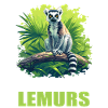 Lemuren Lemurs Lemur