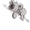 J’aime vraiment Koalas Koala Bear