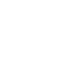 Wild Roaring Bear Design