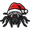Tarentule Noël