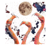 Flamingo Animal Howling Moon