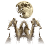 Ferret Pet Howling Moon
