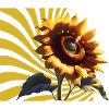Tournesol