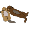 Cute Sleeping Otters
