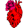 Hearts Together