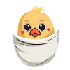 Chicken In Pocket
