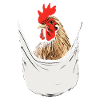 Chicken In Pocket