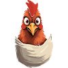 Poulet en poche