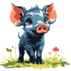 Baby Pig