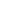 Swan with huge wings