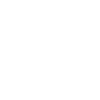 Swift Squirrel Ink Style Drawing