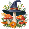 Witch mushroom