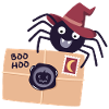 Spinne mit Brief