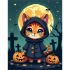 Cute halloween Cat