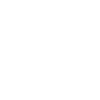 Bier