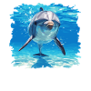 Dauphin Dauphins Dauphin