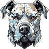 Dog Pitbull