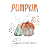 Autumn Pumpkin season