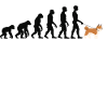 Akita