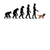 Cocker Spaniel