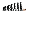 Dachshund