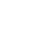 Middle schnauzer in the heart