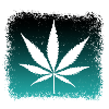 Ganja Weed Kiffen