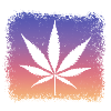 Weed, Kiffen, Kiffer, Stoner