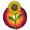 Sunflower Flower Flowers Nature Ladybug