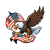 a us german eagle