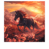 Pferd