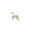 Boston Terrier Gifts
