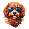 Small poodle with sunglasses