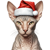 Christmas sphynx cat