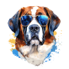 Saint Bernard with sunglasses