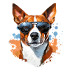 Basenji with sunglasses