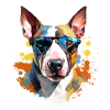 Bull terrier with sunglasses