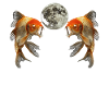 Poisson rouge Poisson Lune hurlante