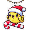 Canaries de Noël