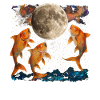 Poisson rouge Poisson Lune hurlante