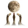 Oie canard lune hurlante
