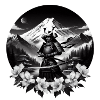 Fuji Samurai Warrior
