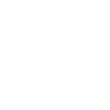 Party